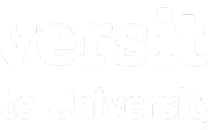 University at Buffalo Social Impact Fellows Program logo. 