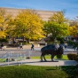 A buffalo statue. 