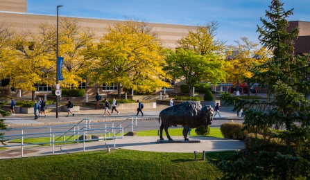 A buffalo statue. 