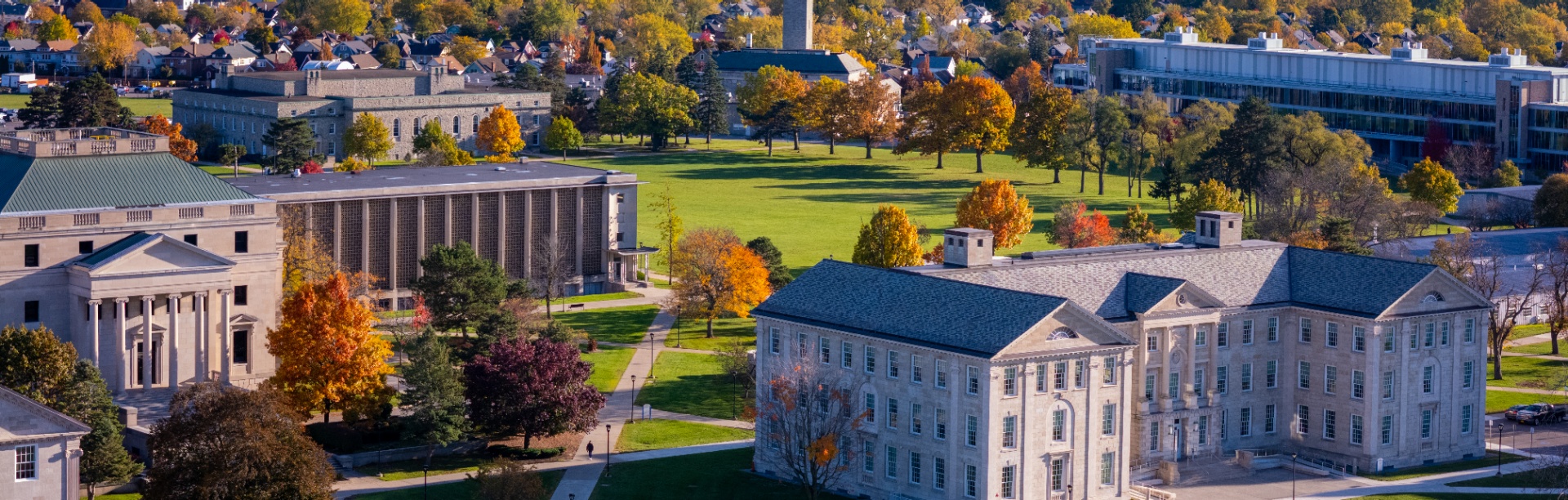 Fall trees on UB's South Campus. 
