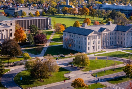 Fall trees on UB's South Campus. 