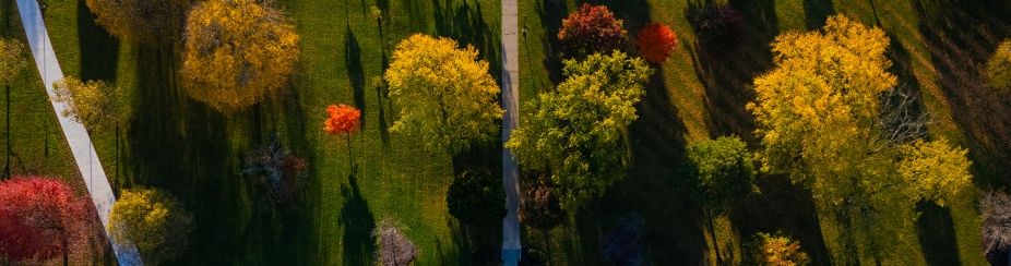 Fall colors in the trees on a sunny morning around the Hayes Hall on South Campus. 