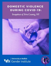 Domestic Violence During Covid 19 book cover. 