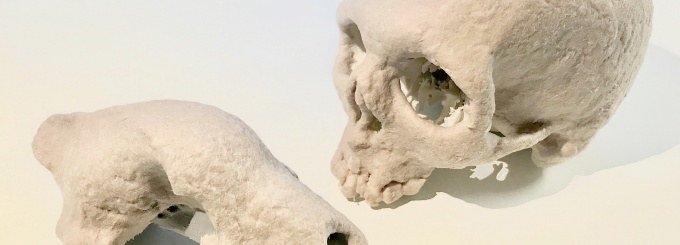 paper skulls. 