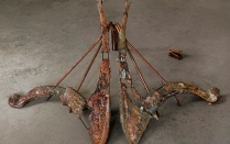 Brianna Leatherbury. 