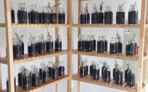 Marta De Menezes "Life In A Bottle". 