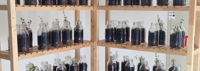 Marta De Menezes "Life In A Bottle". 