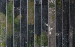 Nicole Clouston, "Soil". 
