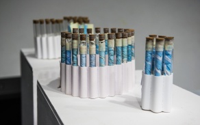 Karolina Żyniewicz: Signs of the Times. Collecting Biological Traces and Memories. 