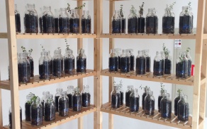 Marta De Menezes "Life In A Bottle". 