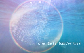 Reza Safavi, One Cell Wanderings: Glacial Microbiota. 