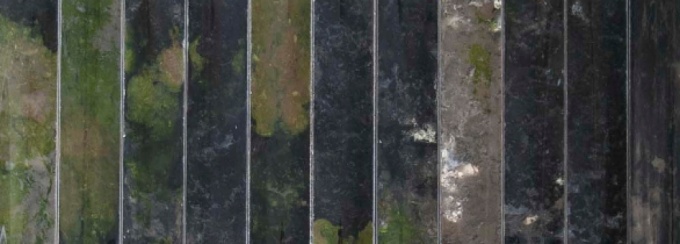 Nicole Clouston, "Soil". 