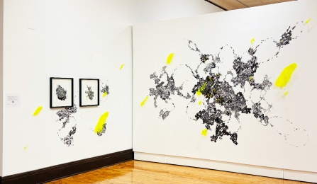 Installation image of Nichole Condon-Shih's Symbioverse II (2025); Custom vinyl, acrylic, mixed media on Yupo installed upon two white gallery walls. 