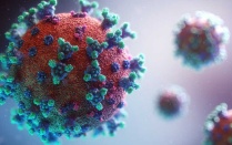 Photo of coronavirus. 