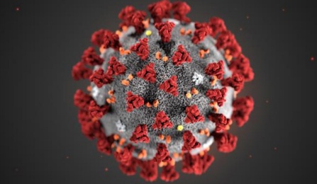 Photo credit: Centers for Disease Control and Prevention (CDC). 