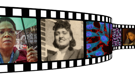 Film strip with images from movie. 