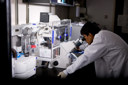 Scientist looking in microscope. 