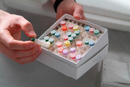 Test tubes. 