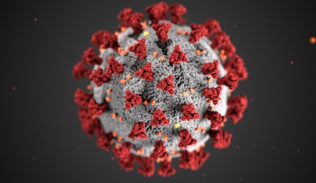 CDC photo image of COVID-19 virus. 