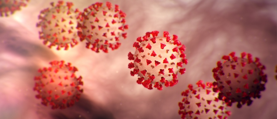 Image of CCOVID-19 from the Center for Disease Control. 
