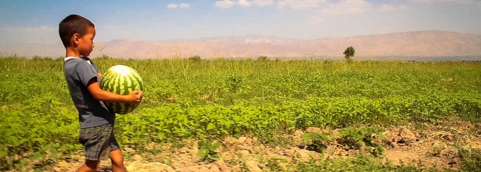 FMSC Distribution Partners - Tajikistan, 2013, Modified. 