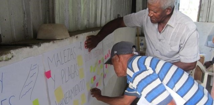 Smallholder Farmers in the Domonican Republic, Photo Credit: Marion Werner, October 2017. 