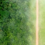 Deforestation, Kate Evans CIFOR, February 2013, Modified. 