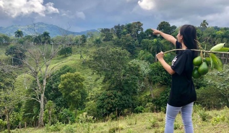 I was in the countryside in the Dominican republic. Hunting for avocados. 