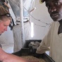 Laura Smith inspecting corn. 