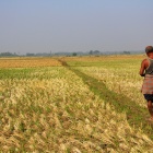 Farmer in Orissa, India, Photo by Daniela Leon. 