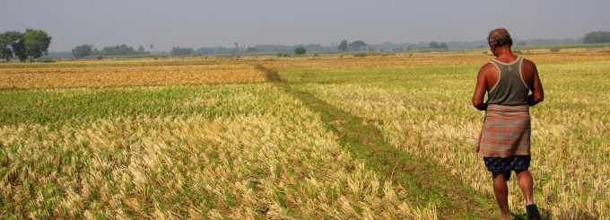Farmer in Orissa, India, Photo by Daniela Leon. 