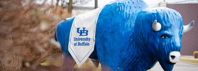 Blue bison with UB flag drapped over it. 