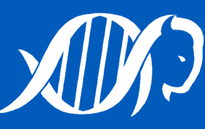 CTSI Buffalo logo. 