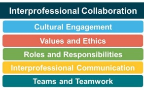 Vertical list of categories for interprofessional collaborations. 
