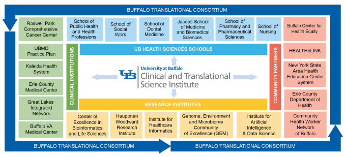 Graph showing the Clinical and Translational Science Institute as the coordinating center of the Buffalo Translational Consortium. 