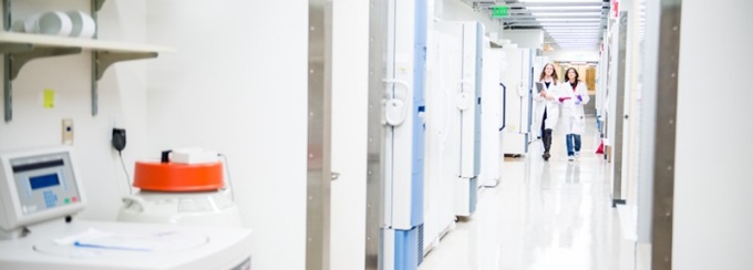 Two people walking down a laboratory hallway. 