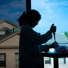 A silouette of a researcher with a pipet. 
