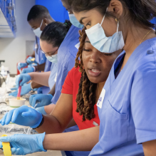 Students handling teeth molds. 
