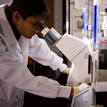 A researcher in a lab coat looking through a microscope eyepiece to examine a culture dish. 