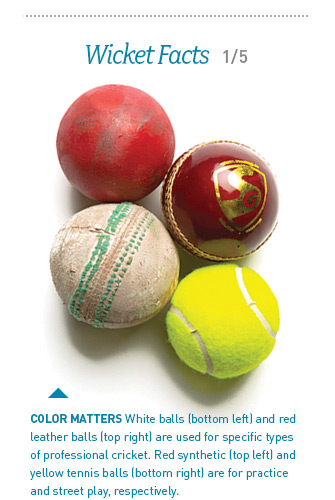 Color matters: White balls and red leather balls are used for specific types of professional cricket. Red synthetic and yellow tennis balls are for practice and street play, respectively.