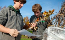Two male students check the leaves on a tree they have just planted near the Solar Strand site. 
