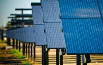 Photo of many black photovoltaic panels lined up in a row. 