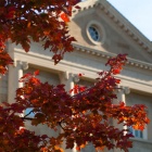 Photo of Crosby Hall with rust and gold colored fall leaves in the foreground. 