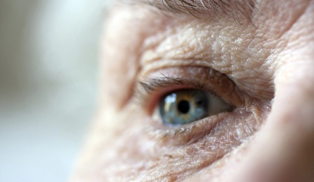 eye of older adult. 