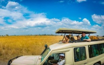 A group of people touring grassy plains in a truck in Tanzania. 