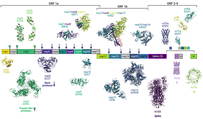 protein images. 