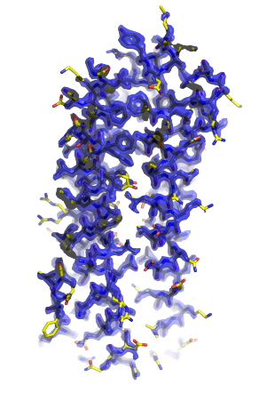 Example of imagining from Cryo-em lab.