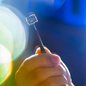 Researcher holding up a piece of material with a pair of tweezers. 