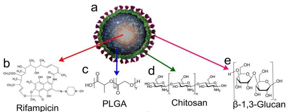 nano particle diagram. 