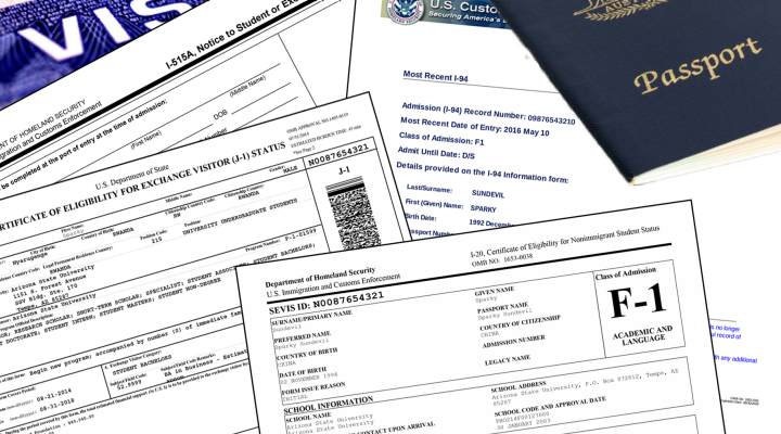 Example I-20, DS-2019 and I-94 immigration document collage. 